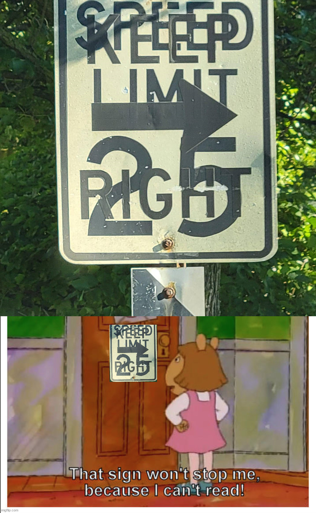 What are they trying to tell me? | image tagged in this sign won't stop me because i cant read,stupid signs,confused | made w/ Imgflip meme maker