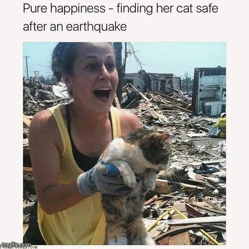 image tagged in wholesome | made w/ Imgflip meme maker