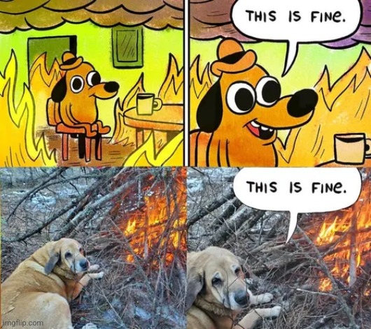 image tagged in this is fine | made w/ Imgflip meme maker