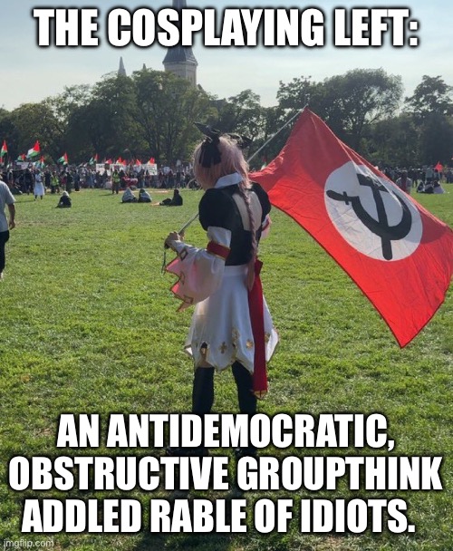 THE COSPLAYING LEFT:; AN ANTIDEMOCRATIC, OBSTRUCTIVE GROUPTHINK ADDLED RABLE OF IDIOTS. | made w/ Imgflip meme maker