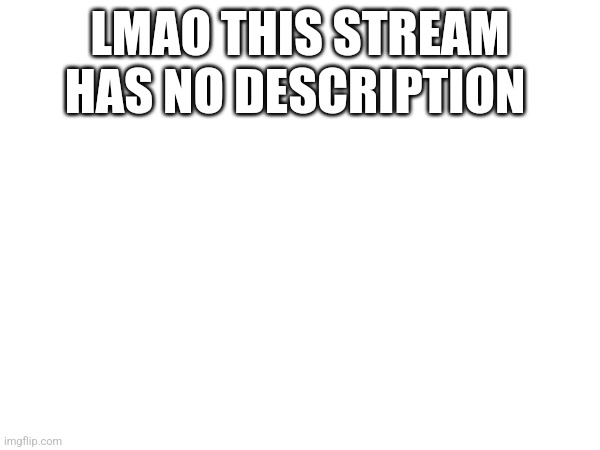 LMAO THIS STREAM HAS NO DESCRIPTION | made w/ Imgflip meme maker