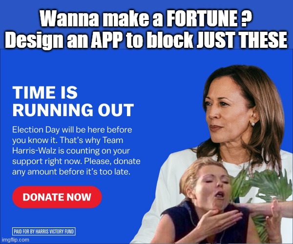 The Bitch is EVERYWHERE | Wanna make a FORTUNE ?
Design an APP to block JUST THESE | image tagged in kamala donate ad blocker meme | made w/ Imgflip meme maker