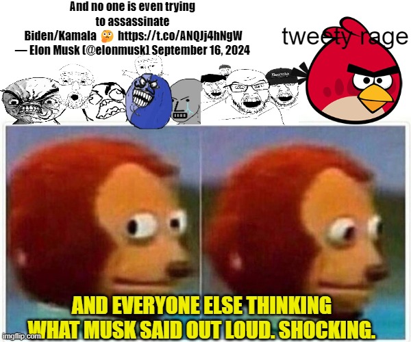 Musk only said out loud what people not on Social Media are thinking | And no one is even trying 
to assassinate 
Biden/Kamala 🤔 https://t.co/ANQJj4hNgW

— Elon Musk (@elonmusk) September 16, 2024; tweety rage; AND EVERYONE ELSE THINKING WHAT MUSK SAID OUT LOUD. SHOCKING. | image tagged in memes,monkey puppet | made w/ Imgflip meme maker