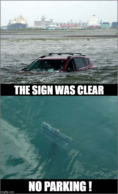 They Won't Do That Again (As They All Drowned) ! | THE SIGN WAS CLEAR; NO PARKING ! | image tagged in car,no parking,drowned,dark humour | made w/ Imgflip meme maker