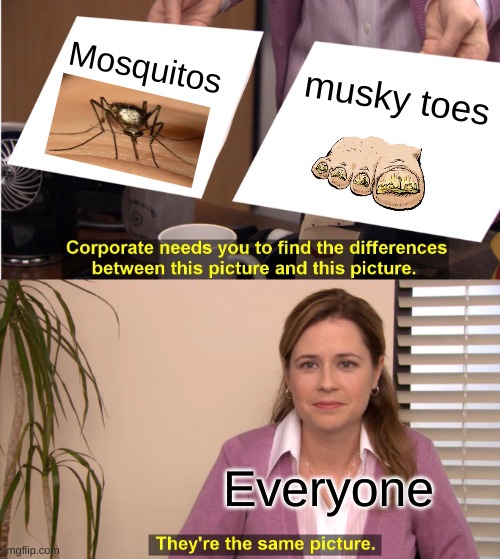 BUT THEY LOOK THE SAME! | Mosquitos; musky toes; Everyone | image tagged in memes,they're the same picture,mosquitos,toes,musky,relatable | made w/ Imgflip meme maker