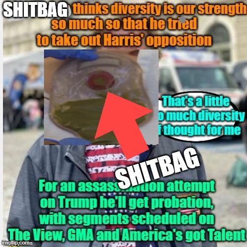 Another Kamala Supporter Going above and Beyond | SHITBAG SHITBAG | made w/ Imgflip meme maker