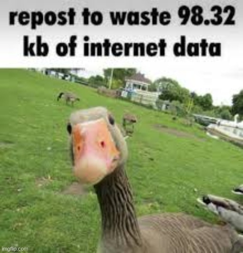 Repost to waste 98.32 kb of internet data | image tagged in repost to waste 98 32 kb of internet data | made w/ Imgflip meme maker