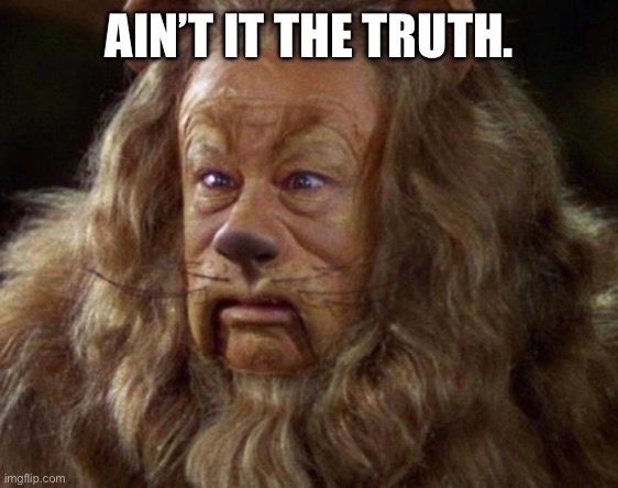 Cowardly lion | AIN’T IT THE TRUTH. | image tagged in cowardly lion - wizard of oz | made w/ Imgflip meme maker