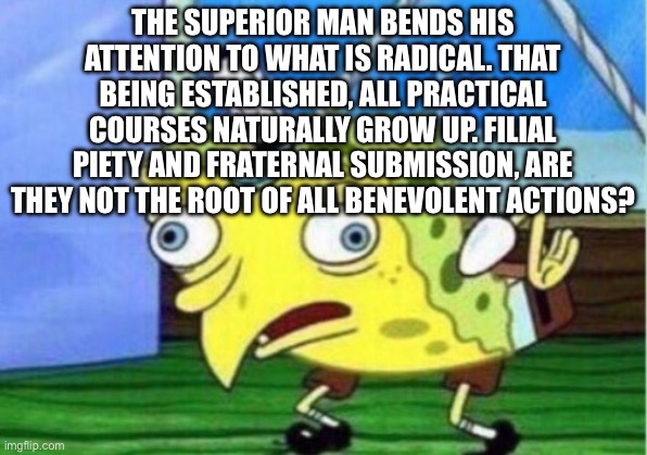 Mocking Spongebob | THE SUPERIOR MAN BENDS HIS ATTENTION TO WHAT IS RADICAL. THAT BEING ESTABLISHED, ALL PRACTICAL COURSES NATURALLY GROW UP. FILIAL PIETY AND FRATERNAL SUBMISSION, ARE THEY NOT THE ROOT OF ALL BENEVOLENT ACTIONS? | image tagged in memes,mocking spongebob | made w/ Imgflip meme maker