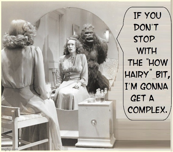 Well, if I am a Hairy Ape, why did you marry me in the first place | image tagged in vince vance,gorilla,hairy legs,memes,scary movie,ape | made w/ Imgflip meme maker