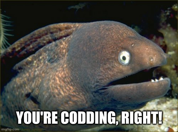 Bad Joke Eel Meme | YOU'RE CODDING, RIGHT! | image tagged in memes,bad joke eel | made w/ Imgflip meme maker