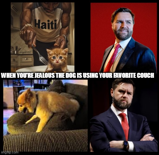 republican weirdos | WHEN YOU'RE JEALOUS THE DOG IS USING YOUR FAVORITE COUCH | image tagged in dogs,jd vance,ohio,couch,clown car republicans,weirdo | made w/ Imgflip meme maker