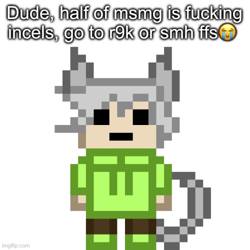 Neko...PNG | Dude, half of msmg is fucking incels, go to r9k or smh ffs😭 | image tagged in neko png | made w/ Imgflip meme maker