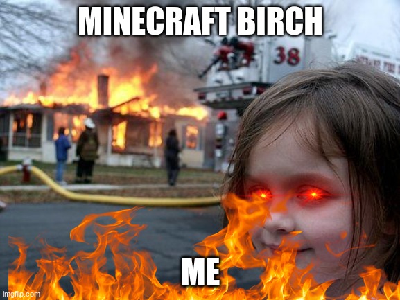 lamo | MINECRAFT BIRCH; ME | image tagged in memes,disaster girl | made w/ Imgflip meme maker