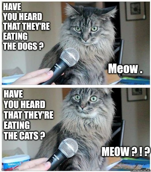 Cat interview high res | HAVE YOU HEARD THAT THEY'RE EATING THE DOGS ? HAVE YOU HEARD THAT THEY'RE EATING THE CATS ? Meow . MEOW ? ! ? | image tagged in cat interview high res | made w/ Imgflip meme maker