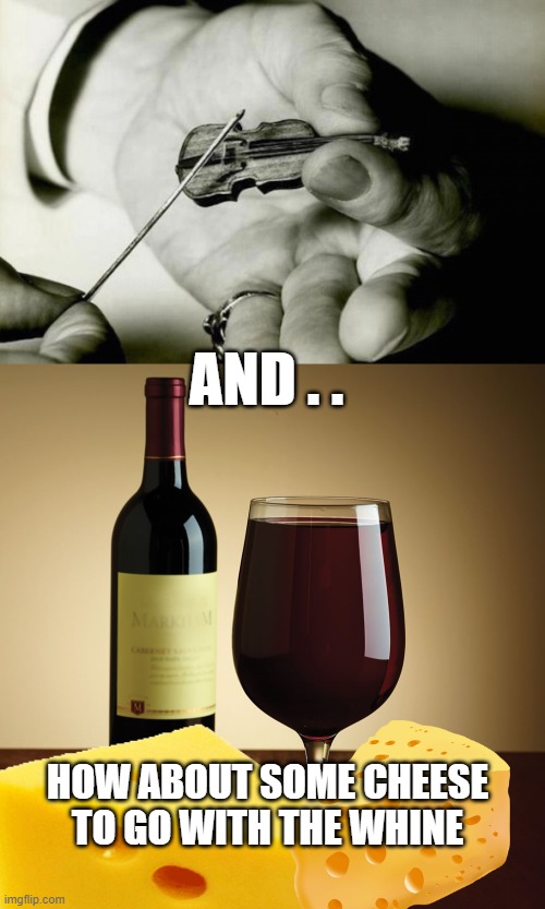 AND . . HOW ABOUT SOME CHEESE TO GO WITH THE WHINE | image tagged in world's smallest violin,wine bottle | made w/ Imgflip meme maker