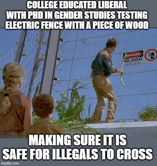 just for fun | COLLEGE EDUCATED LIBERAL WITH PHD IN GENDER STUDIES TESTING ELECTRIC FENCE WITH A PIECE OF WOOD; MAKING SURE IT IS SAFE FOR ILLEGALS TO CROSS | image tagged in stupid liberals,funny memes,political humor,funny meme,donald trump approves | made w/ Imgflip meme maker