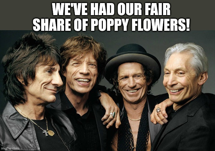 rolling stones | WE'VE HAD OUR FAIR SHARE OF POPPY FLOWERS! | image tagged in rolling stones | made w/ Imgflip meme maker