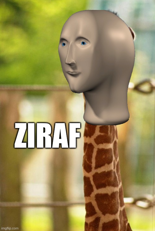 no comment giraffe | ZIRAF | image tagged in no comment giraffe | made w/ Imgflip meme maker