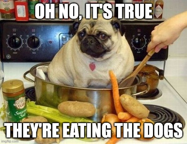 Dog Meal | OH NO, IT'S TRUE; THEY'RE EATING THE DOGS | image tagged in dogs | made w/ Imgflip meme maker