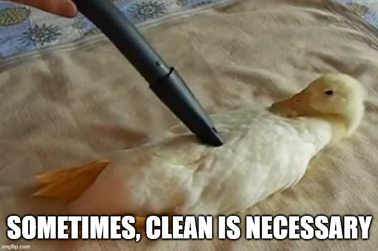 Cleean your Duck | SOMETIMES, CLEAN IS NECESSARY | image tagged in ducks | made w/ Imgflip meme maker