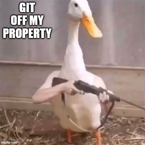 Gun Duck | GIT OFF MY PROPERTY | image tagged in ducks | made w/ Imgflip meme maker