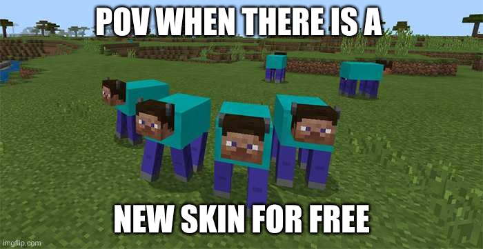 lol so true | POV WHEN THERE IS A; NEW SKIN FOR FREE | image tagged in me and the boys,minecraft memes,relatable memes,goofy ahh | made w/ Imgflip meme maker