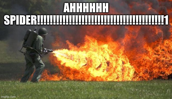 flamethrower | AHHHHHH SPIDER!!!!!!!!!!!!!!!!!!!!!!!!!!!!!!!!!!!!!!!!1 | image tagged in flamethrower | made w/ Imgflip meme maker