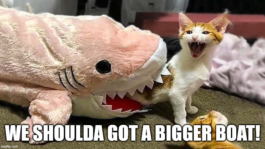 Jaws Cat | WE SHOULDA GOT A BIGGER BOAT! | image tagged in cats | made w/ Imgflip meme maker