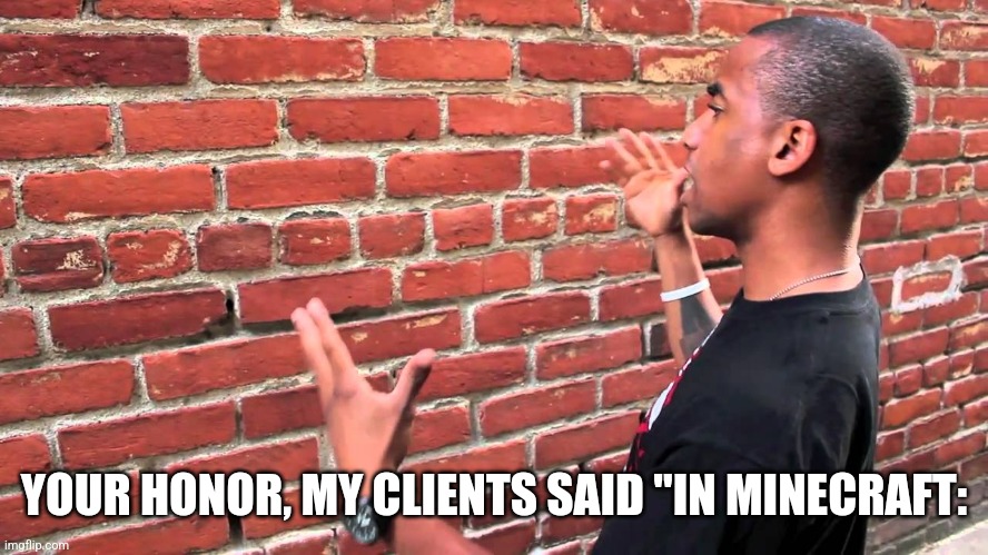 guy explaining to brick wall | YOUR HONOR, MY CLIENTS SAID "IN MINECRAFT: | image tagged in guy explaining to brick wall | made w/ Imgflip meme maker