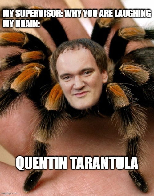 Quentin Tarantula | MY SUPERVISOR: WHY YOU ARE LAUGHING
MY BRAIN:; QUENTIN TARANTULA | image tagged in quentin tarantino,tarantula | made w/ Imgflip meme maker