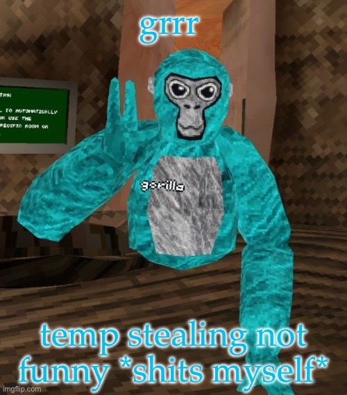 Monkey | grrr; temp stealing not funny *shits myself* | image tagged in monkey | made w/ Imgflip meme maker