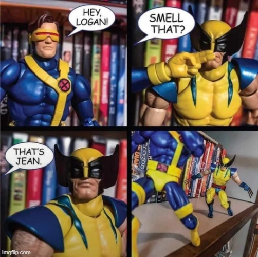 That's Jean | image tagged in wolverine | made w/ Imgflip meme maker