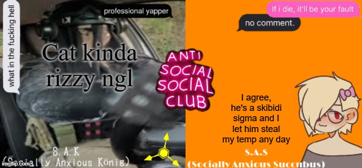 Social A Duo Temp | Cat kinda rizzy ngl; I agree, he's a skibidi sigma and I let him steal my temp any day | image tagged in social a duo temp | made w/ Imgflip meme maker