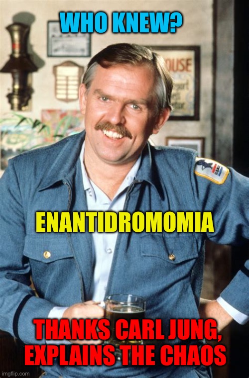 Enantidromomia: you learn something new everyday | WHO KNEW? ENANTIDROMOMIA; THANKS CARL JUNG, EXPLAINS THE CHAOS | image tagged in here s a little known fact,knowledge,chaos,change | made w/ Imgflip meme maker