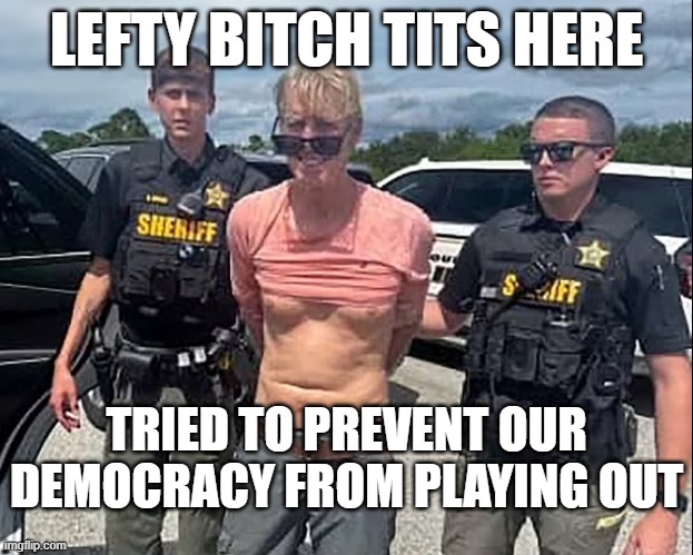 LEFTY BITCH TITS HERE; TRIED TO PREVENT OUR
DEMOCRACY FROM PLAYING OUT | made w/ Imgflip meme maker