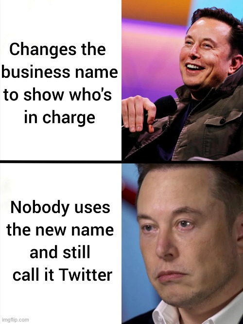 He did it a litte X Æ A-12 | image tagged in memes,funny,sad but true,twitter,elon musk | made w/ Imgflip meme maker