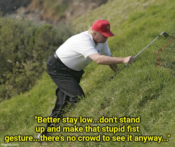 Trump musing on the situation | "Better stay low...don't stand up and make that stupid fist gesture...there's no crowd to see it anyway..." | image tagged in trump golfing | made w/ Imgflip meme maker