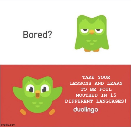 Oh no take ur lessons now | TAKE YOUR LESSONS AND LEARN TO BE FOUL MOUTHED IN 15 DIFFERENT LANGUAGES! | image tagged in duolingo bored | made w/ Imgflip meme maker