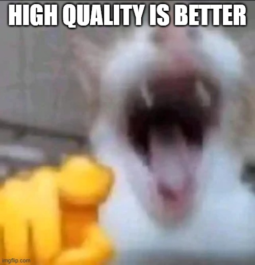 cat laughing at you | HIGH QUALITY IS BETTER | image tagged in cat laughing at you | made w/ Imgflip meme maker