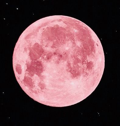 Pink Moon Blank Meme Template