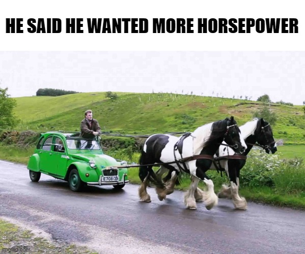 Horsepower | HE SAID HE WANTED MORE HORSEPOWER | image tagged in memes,funny picture,hourse,cars | made w/ Imgflip meme maker