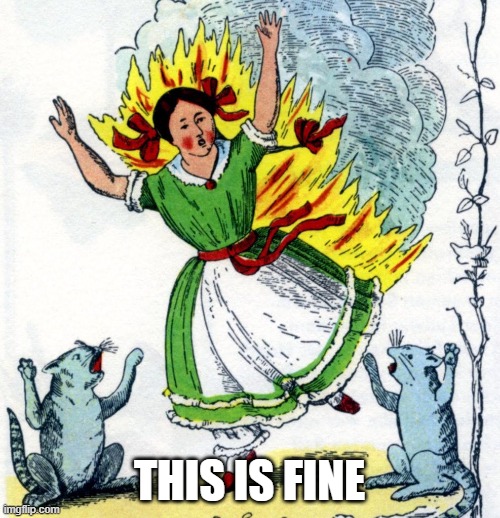 This is fine - girl on fire with cats | THIS IS FINE | image tagged in this is fine - girl on fire with cats | made w/ Imgflip meme maker