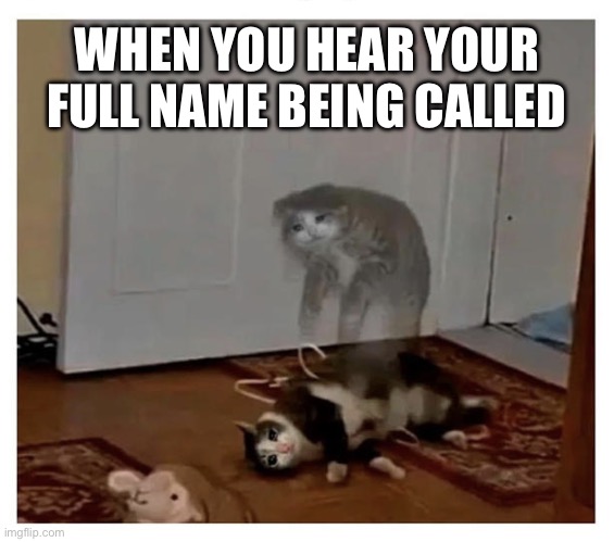 Full name | WHEN YOU HEAR YOUR FULL NAME BEING CALLED | image tagged in soul leaving cat's body | made w/ Imgflip meme maker