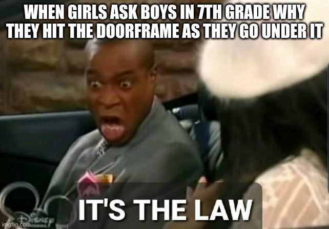 It's the law | WHEN GIRLS ASK BOYS IN 7TH GRADE WHY THEY HIT THE DOORFRAME AS THEY GO UNDER IT | image tagged in it's the law | made w/ Imgflip meme maker