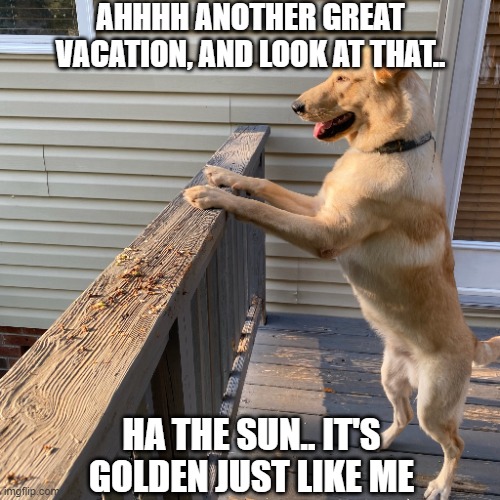 AHHHH ANOTHER GREAT VACATION, AND LOOK AT THAT.. HA THE SUN.. IT'S GOLDEN JUST LIKE ME | made w/ Imgflip meme maker