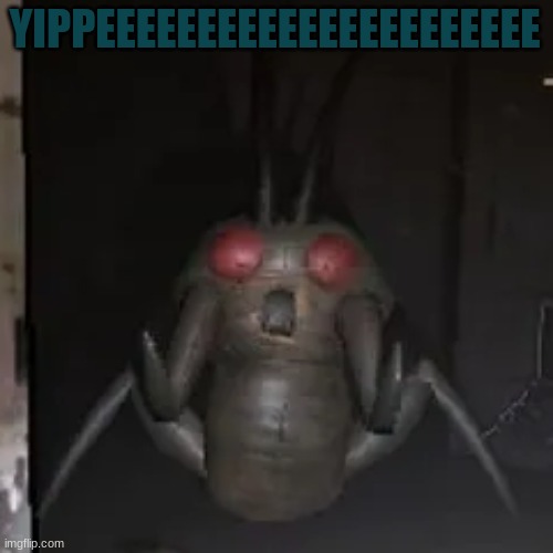 YIPPEEE BUG | YIPPEEEEEEEEEEEEEEEEEEEEEE | image tagged in yippeee bug | made w/ Imgflip meme maker