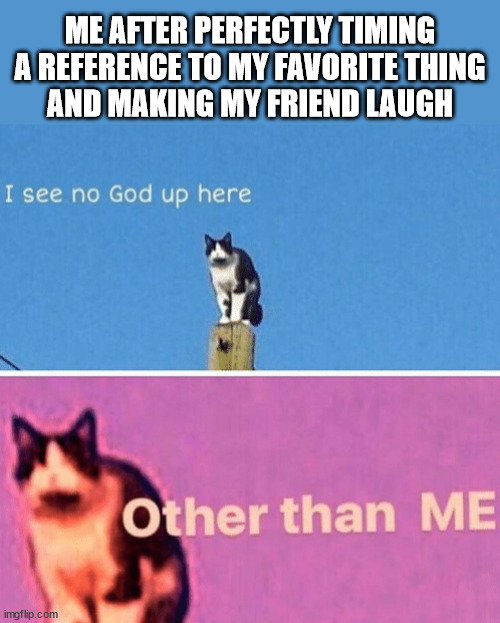 Hail pole cat | ME AFTER PERFECTLY TIMING A REFERENCE TO MY FAVORITE THING
AND MAKING MY FRIEND LAUGH | image tagged in hail pole cat | made w/ Imgflip meme maker