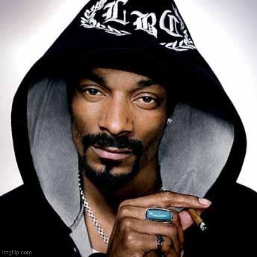 Snoop dogg | image tagged in snoop dogg | made w/ Imgflip meme maker