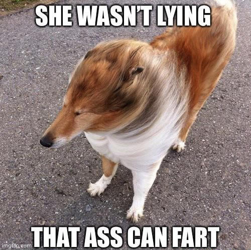 She wasn't lying | image tagged in she wasn't lying | made w/ Imgflip meme maker